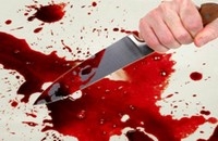Опровержение: Под Новосибирском девочку скормили собакам специально Опровержение: Под Новосибирском девочку скормили собакам специально
